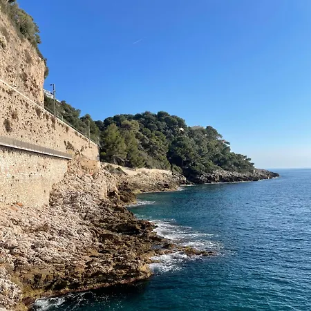 Apartment Centre Vue Imprenable Sur Et Jardin Bioves Menton